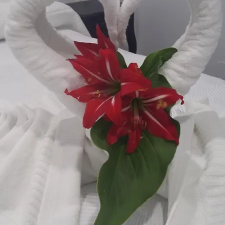 Гостьовий будинок Boutique Bajamar