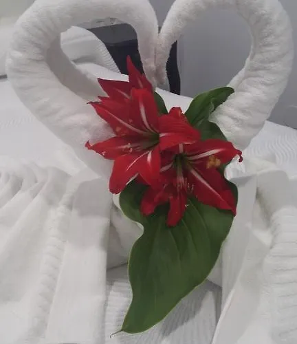 Guest house Boutique Bajamar