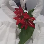 بيت ضيافة Boutique Bajamar