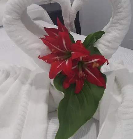 招待所 巴哈马尔精品旅馆