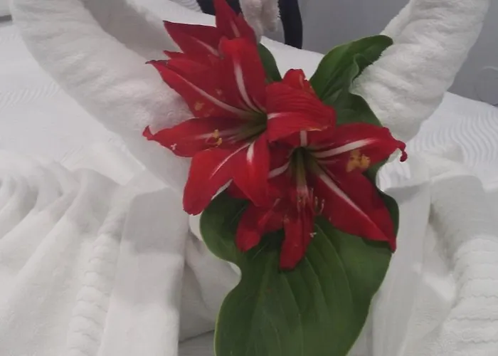 Pensión Boutique Bajamar